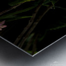 2024 Portfolio 35 Metal print