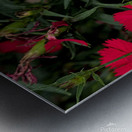 2024 Portfolio 39 Metal print