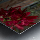 2024 Portfolio 1 Metal print