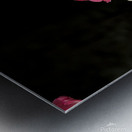 2024 Portfolio 34 Metal print