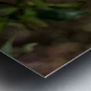 2024 Portfolio 38 Metal print