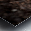 2024 Portfolio 45 Metal print