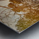 Botany Bay Ice House Metal print