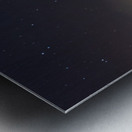 Edisto Island Beach Meandering Fence Metal print