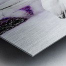 Abstract High Contrast Daisy Flower Metal print