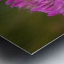 Bumbles Ballet - Maine Botanical Wall Art Metal print