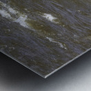 11307 Great Blue Heron  Ardea herodias Metal print