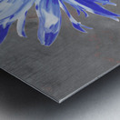 Abstract Luminescent Daisy Flower Metal print