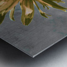 Abstract Vibrant Daisy Flower on a Grey Abstract Background Metal print