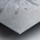 Abstract Minimalist Daisy Flower Metal print