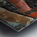 Zolas Gaze Metal print