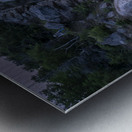 Solitude Metal print