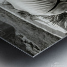 A rhinoceros in what appears to be a zoo or wildl Metal print