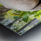 A rhinoceros in what appears to be a zoo or wildl 1722839494.4431 Metal print