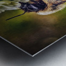 Petal Perch - Maine Botanical Wall Art Impression metal