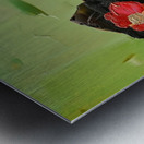 Ethereal Serenity Metal print