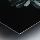 Abstract Glowing Daises on a Dark Background Metal print