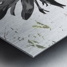 Abstract Dark Daisy Star Light Metal print