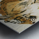 Study Of A Tiger 1890 Wilhelm Kuhnert German 1865 Metal print