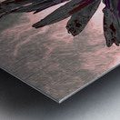 Abstract Fiery Daisy Muted Background Metal print