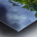 Sea Pines Rookery and Horse Farm Metal print