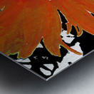 Abstract Orange Daisy Metal print