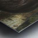 American Black Bear Metal print