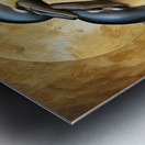 Dolphin Love 2024 08 14 10 58 46 Metal print