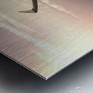 Airplane in sky background Metal print