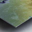 Rainbow Fluid Abstraction Metal print