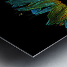 Abstract Daisy Duo on a Dark Background Metal print