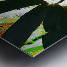 Abstract Dark Daisy  Metal print