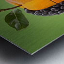 una manzana que a la vez tiene una parte de pera Metal print