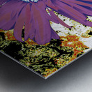 Abstract Purple Daisy Flower Metal print