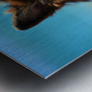 German Shepherd Dog Metal print