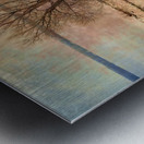 A Vision in Lake Ontario Metal print