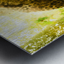 Pat The Cat Painting Metal print