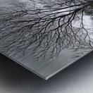 Merry Christmas from the Big Otter Mill Metal print