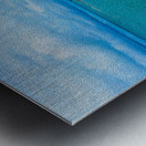 wild beach Metal print