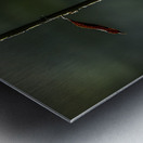 11524 Ignotus 4 Metal print