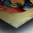 Beautiful Parrot 2024 09 03 09 28 48 Metal print