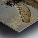 Good Luck Golden Dragonfly 2024 09 03 10 42 01 Metal print