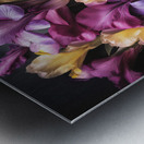 Colourful Irises in Full Bloom Metal print