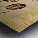 1957 Colorado Buffalo Art by Bob Hale Metal print