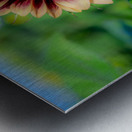 Dreamy ProCut Plum Sunflower Metal print