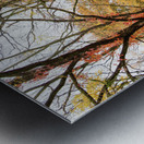 Along the Niagara River Metal print