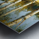 Birch Tree Teens Impression metal