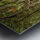 Beaver Valley Trippers Metal print