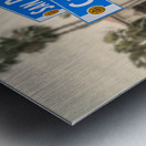San Diego Avenue At California Street Sign Horizontal Metal print