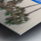 San Diego Avenue at California Street Sign Vertical Metal print